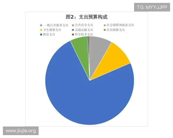 三公经费在政府预算中的地位及其对公共财政管理和反腐倡廉工作的影响分析